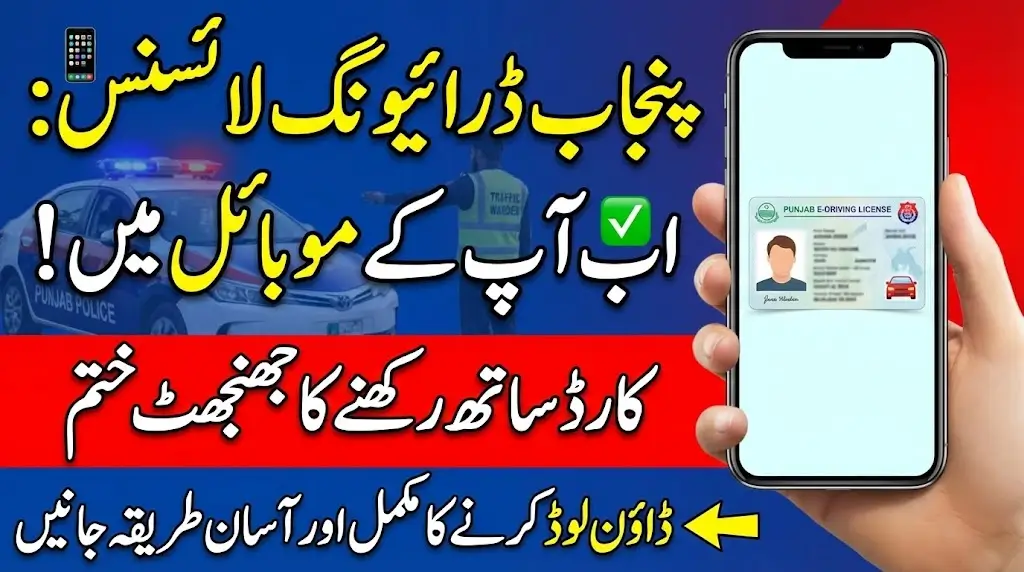 Punjab E License Download Complete Guide Step by Step For Beneficiaries Digital License Method